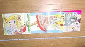 キャンディキャンディ　ピクチャーレコード 堀江美都子 レコード キャンディ・キャンディ -｜トレファクONLINE